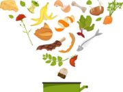 यूज़ एंड थ्रो