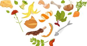 यूज़ एंड थ्रो