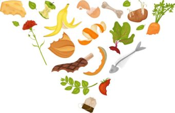 यूज़ एंड थ्रो