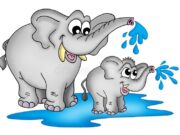 सूंड का सहारा