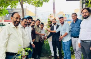 हरेला पर्व पर प्रकृति संरक्षण का संकल्प, महानगर कांग्रेस ने किया वृक्षारोपण